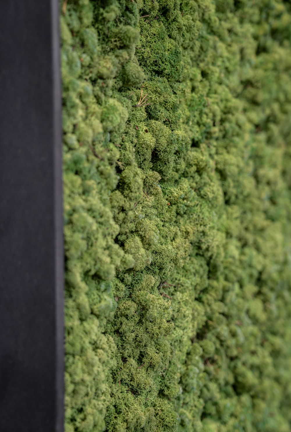 Greenwall